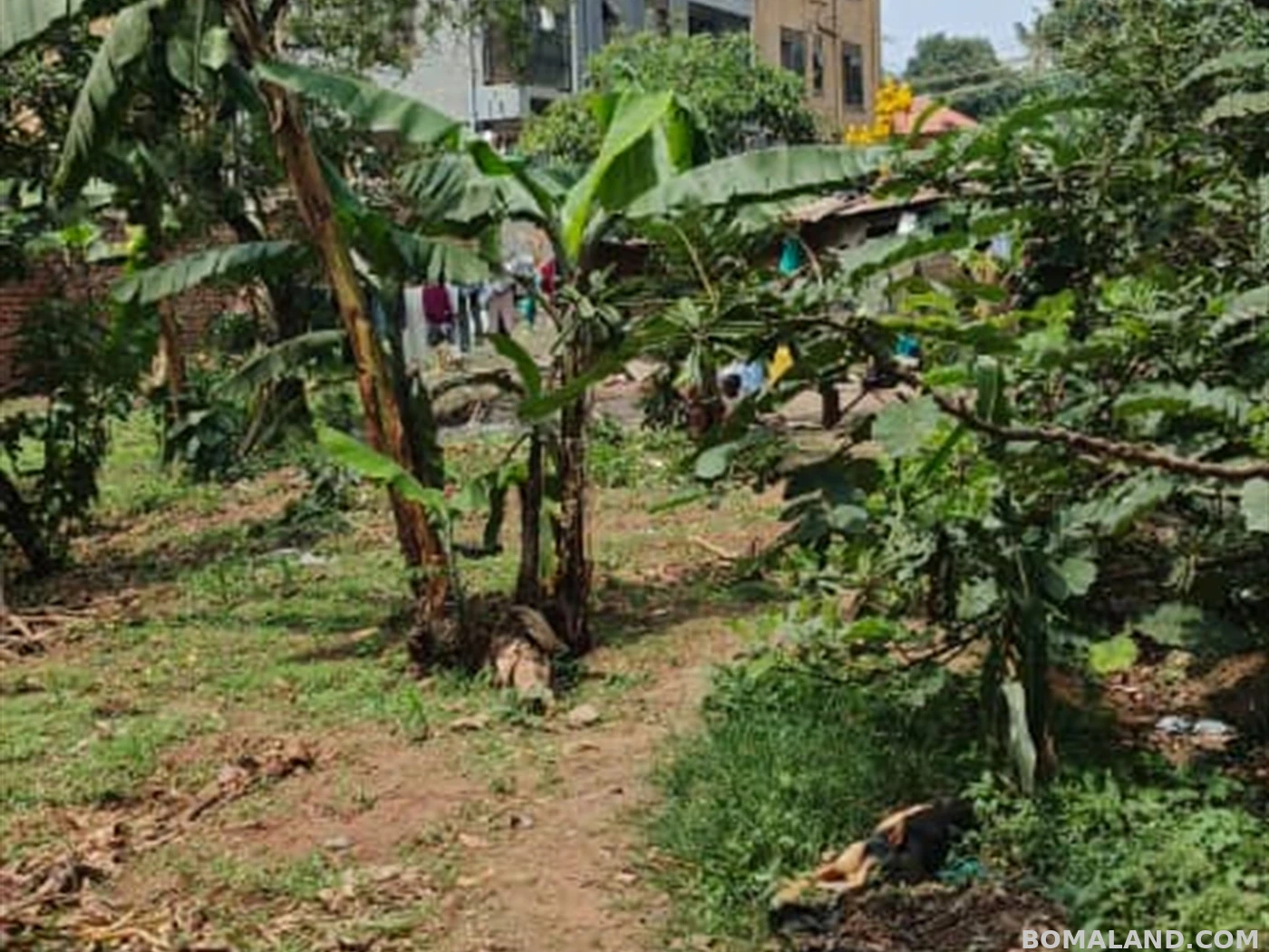 Residential Land for sale in Bukoto Kampala Uganda