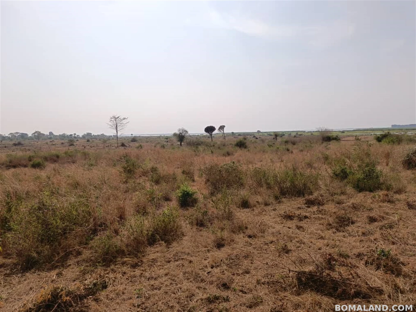 Agricultural Land for sale in Galilaya Kayunga Uganda