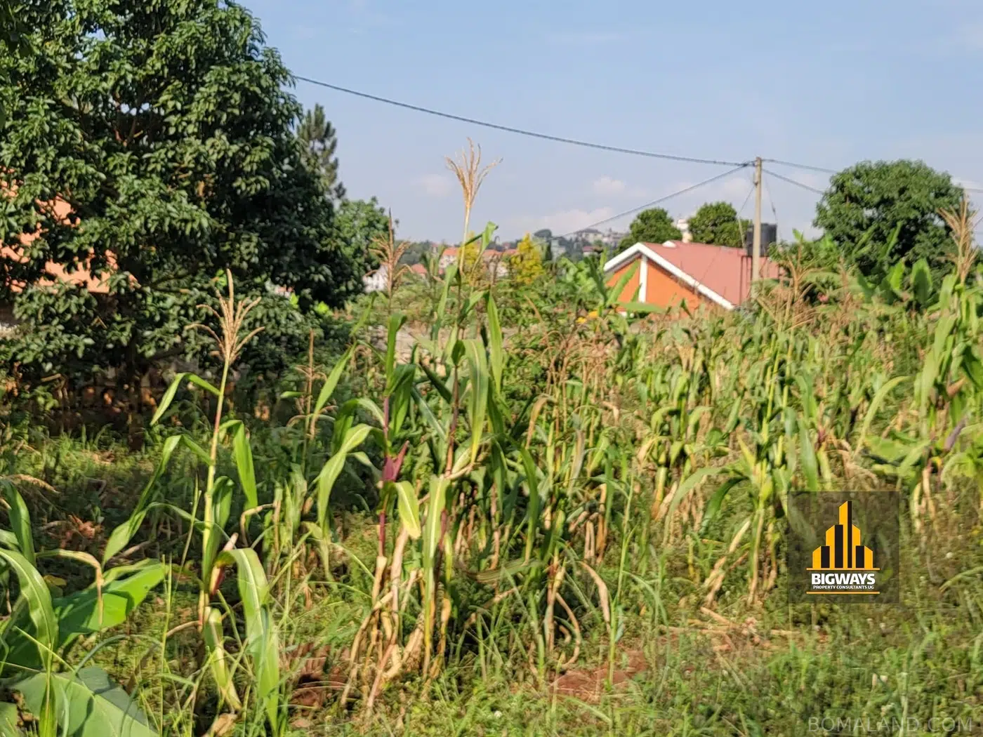 Residential Land for sale in Kyanja Kampala Uganda
