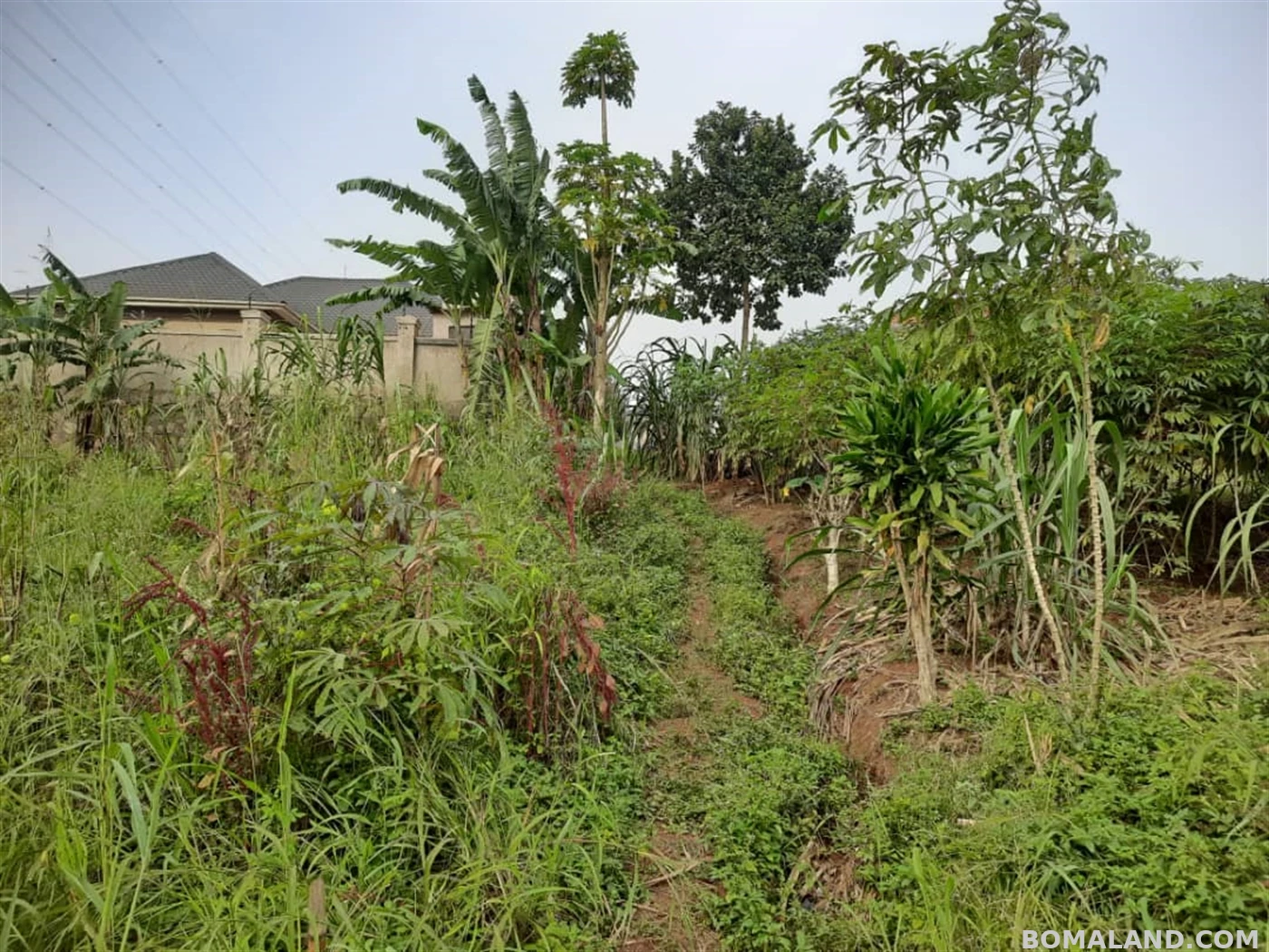 Residential Land for sale in Nsasa Kampala Uganda