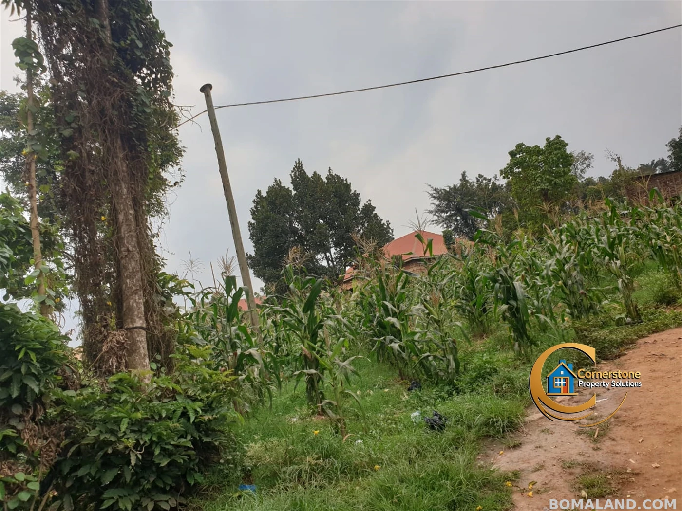 Residential Land for sale in Mpererwe Wakiso Uganda