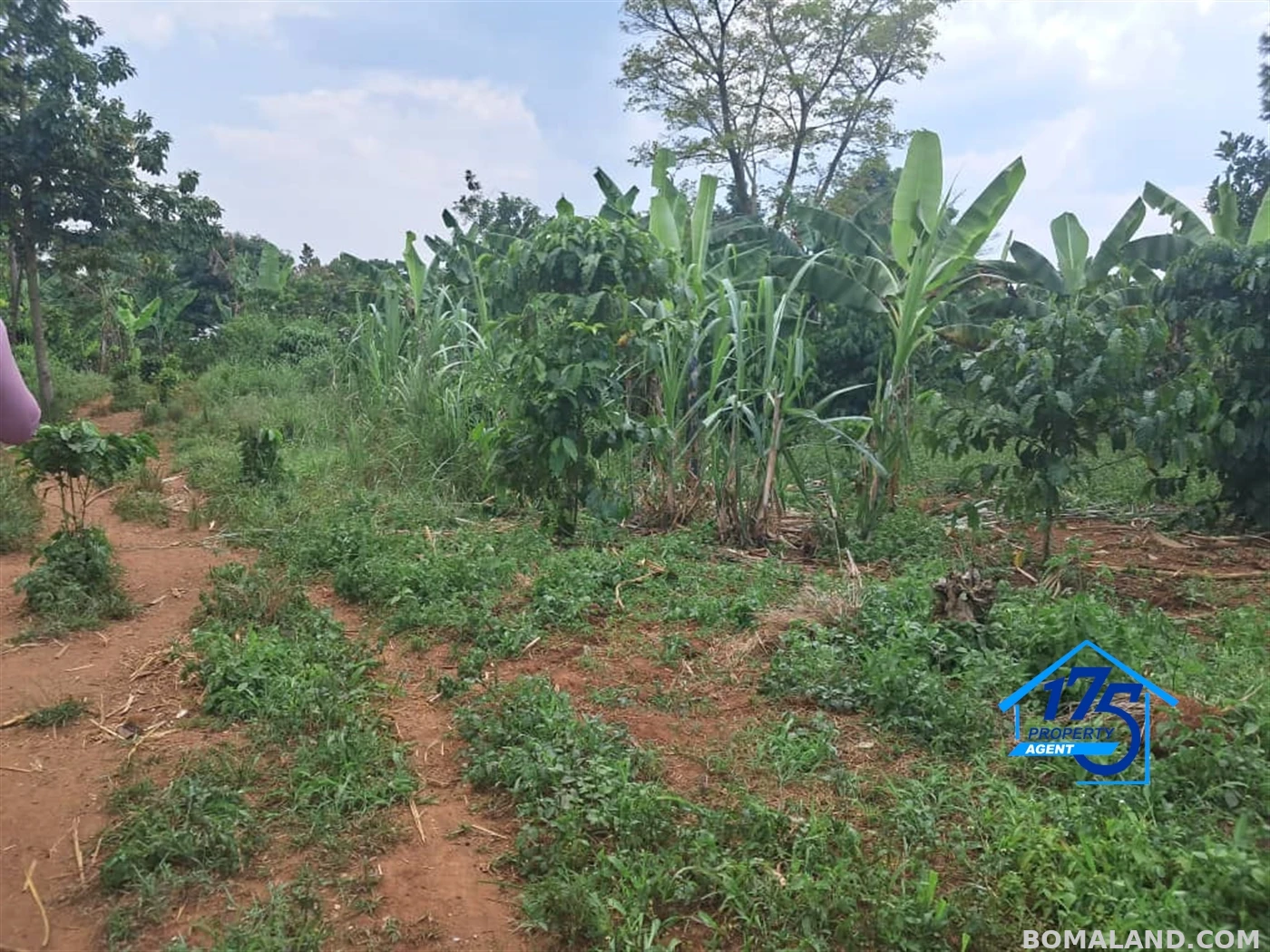 Residential Land for sale in Wabitunguru Luweero Uganda
