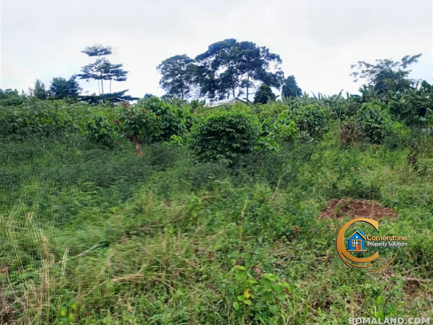 Agricultural Land for sale in Nakisunga Mukono Uganda