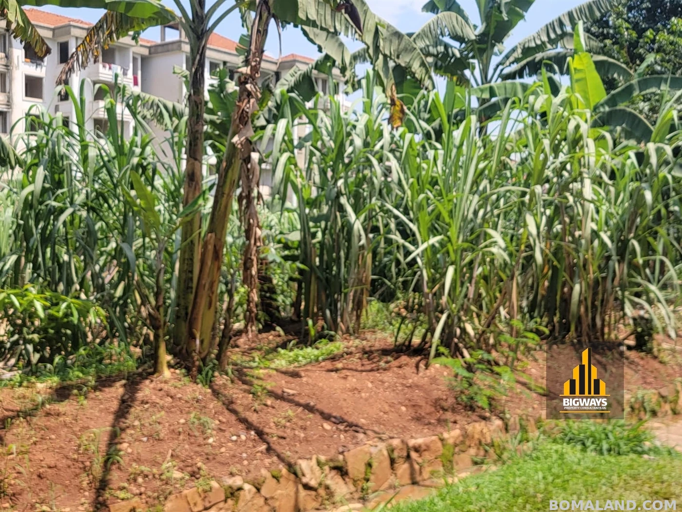 Residential Land for sale in Kiwaatule Kampala Uganda