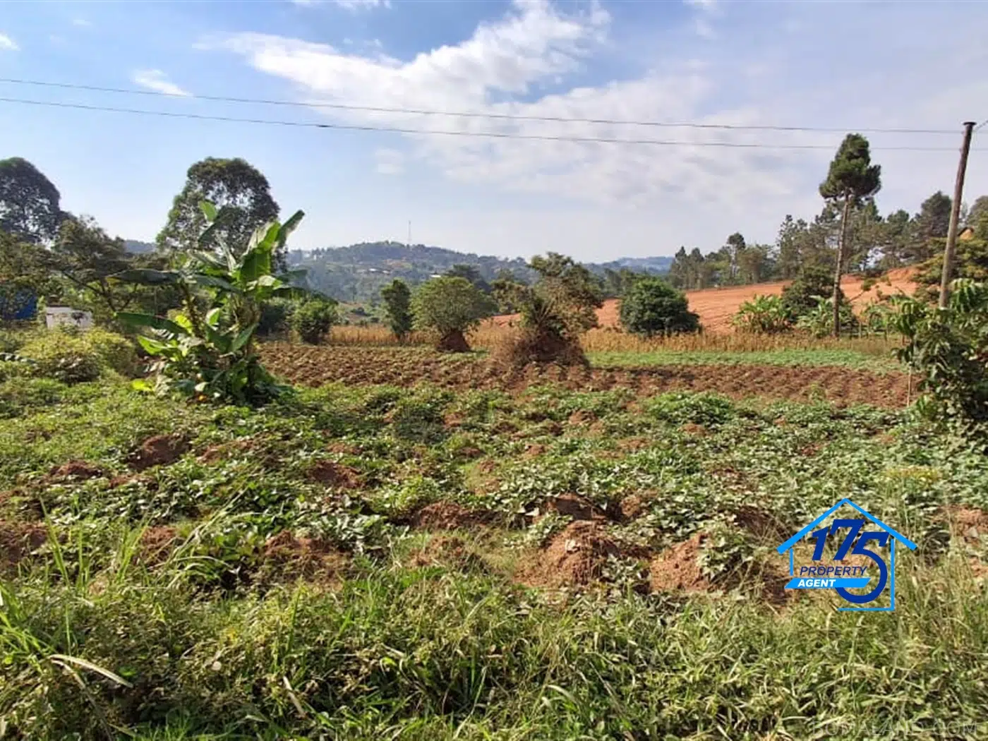 Residential Land for sale in Gayaza Wakiso Uganda