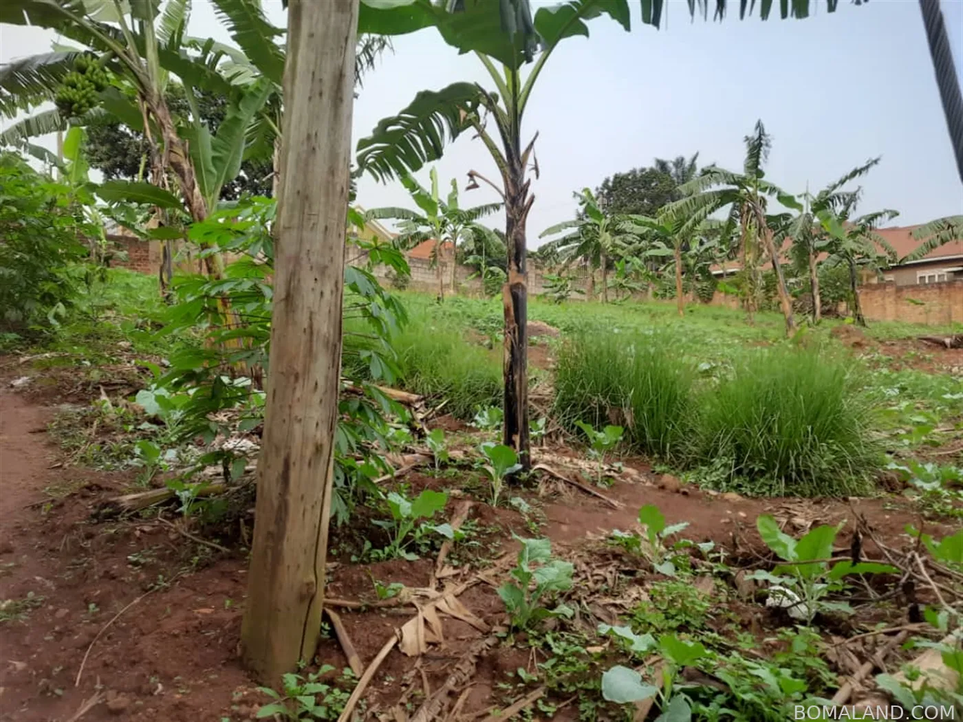 Residential Land for sale in Naalya Kampala Uganda
