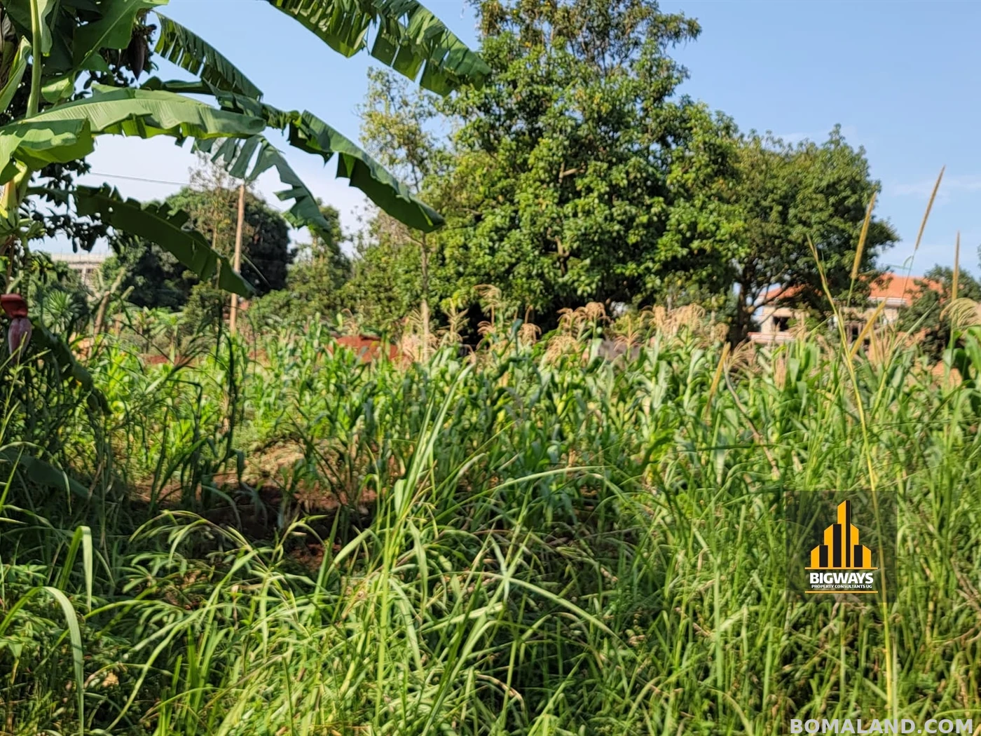Residential Land for sale in Kyanja Kampala Uganda