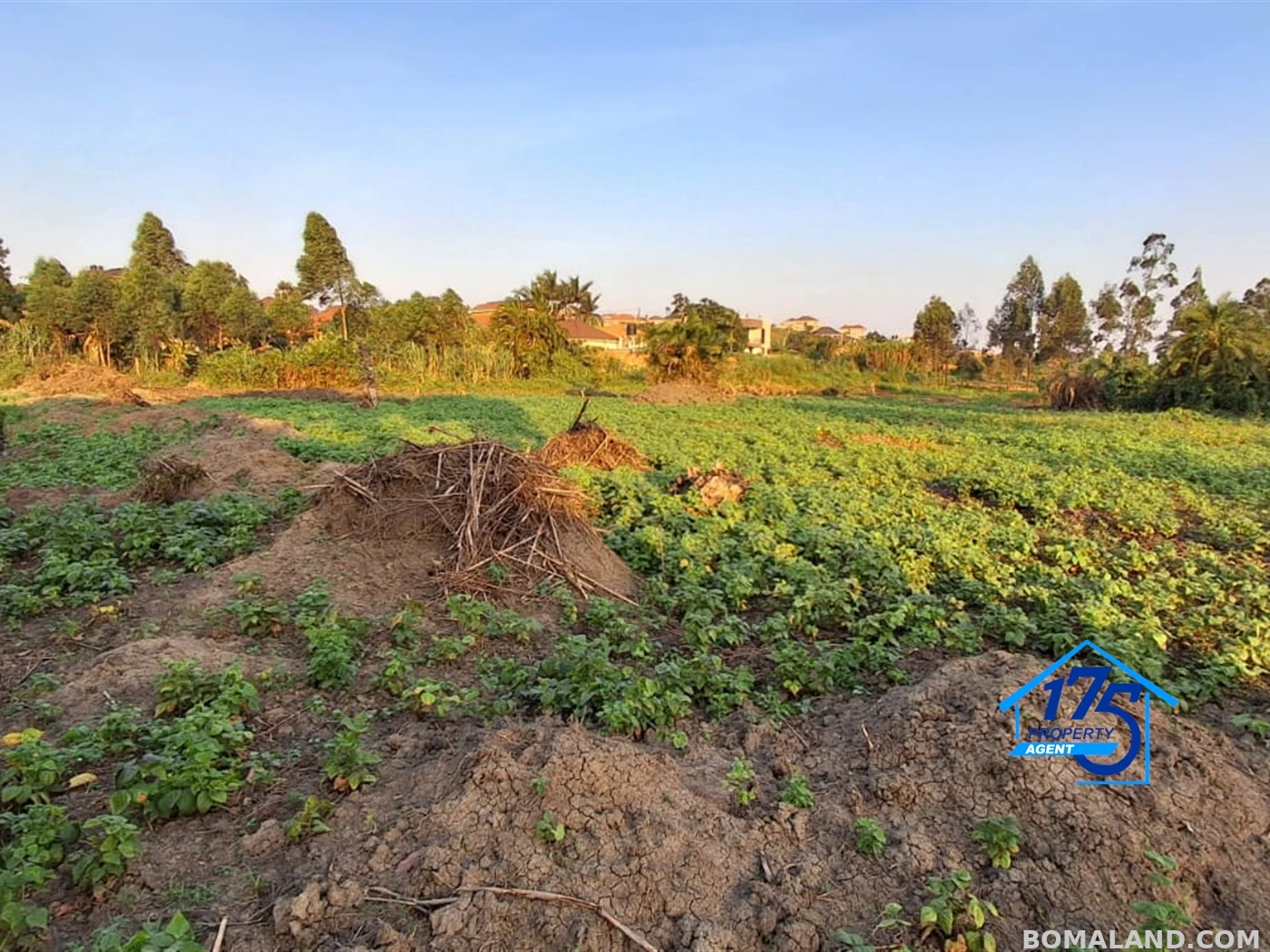 Residential Land for sale in Kira Wakiso Uganda