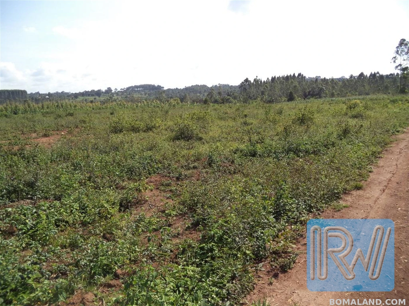 Multipurpose Land for sale in Nakawuka Wakiso Uganda