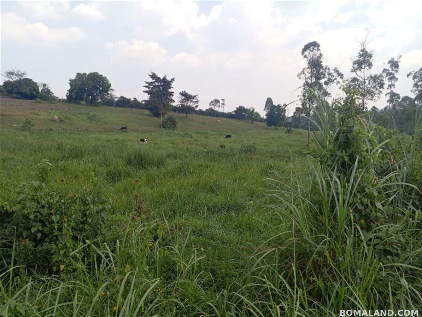 Factory for sale in Kakelenge Wakiso Uganda