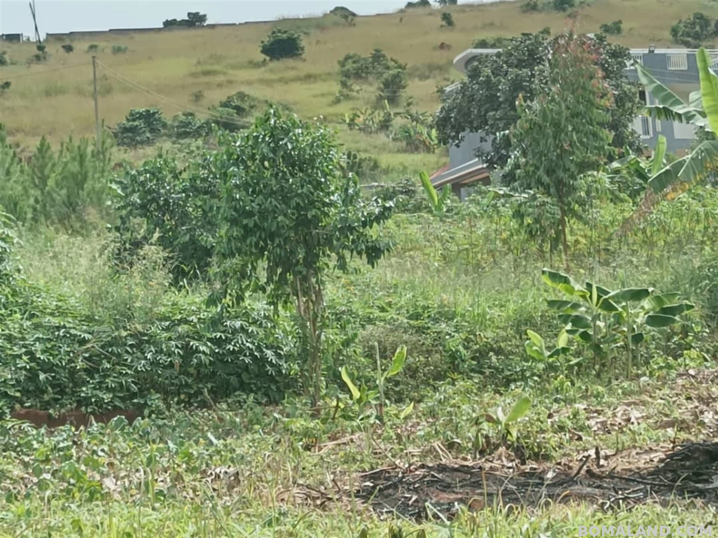 Residential Land for sale in Entebbe Wakiso Uganda