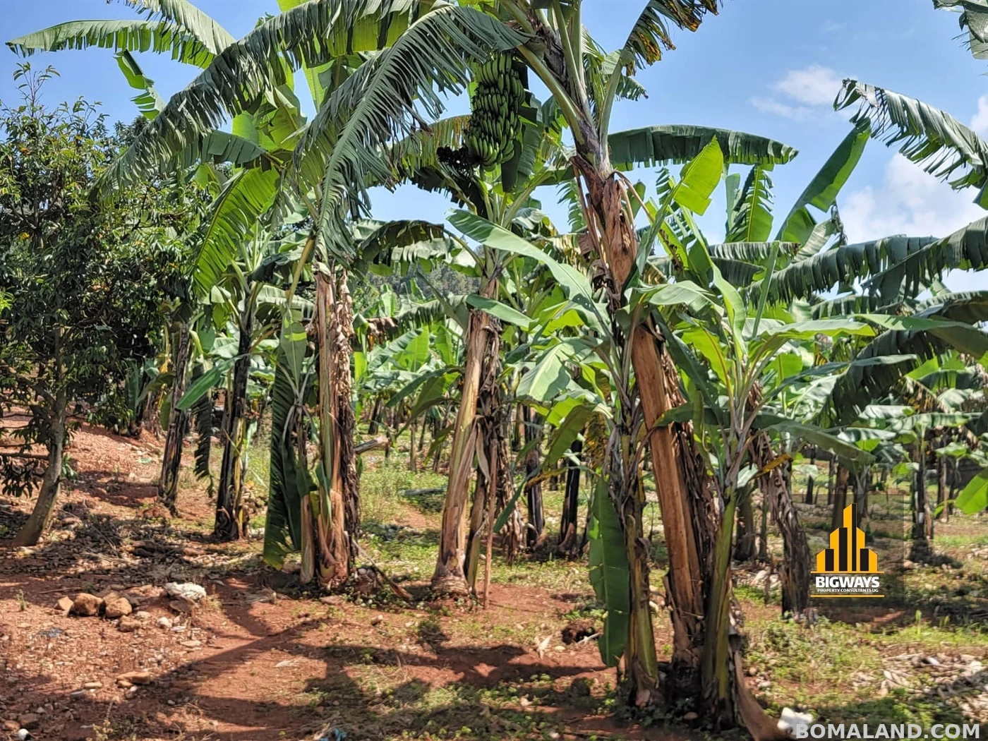 Residential Land for sale in Bwebajja Wakiso Uganda
