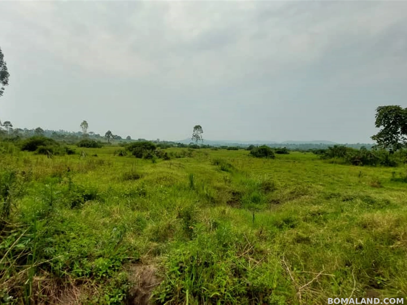 Agricultural Land for sale in Kakoni Gomba Uganda