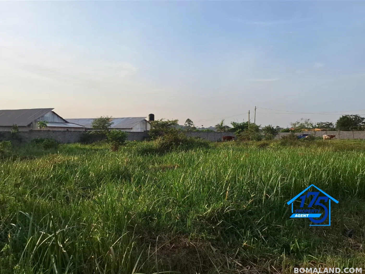 Residential Land for sale in Nabusugwe Wakiso Uganda