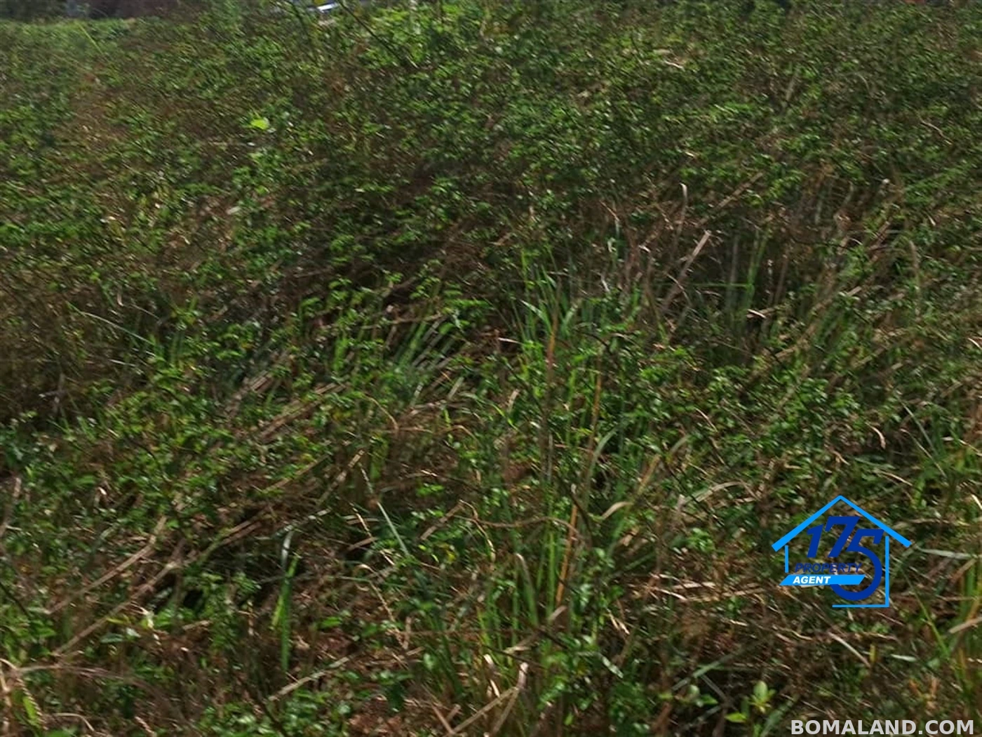 Residential Land for sale in Kira Wakiso Uganda