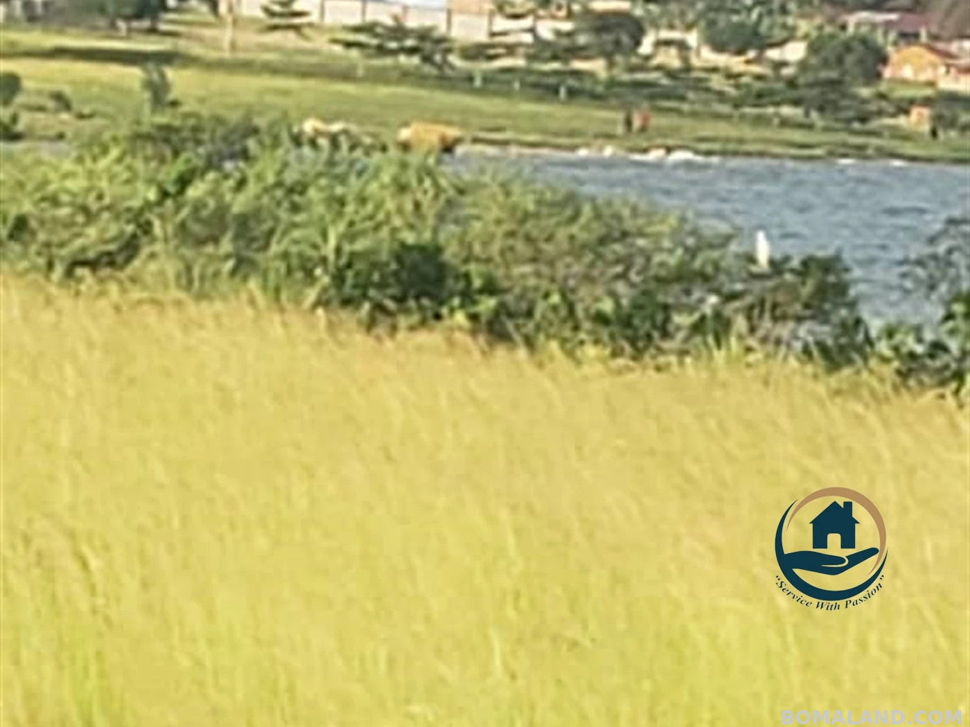 Residential Land for sale in Garuga Wakiso Uganda