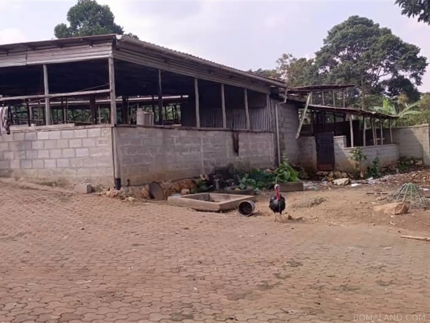 6 bedroom Bungalow for sale in Nakweelo Wakiso Uganda