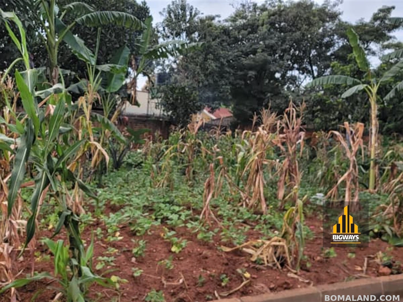 Residential Land for sale in Kiwaatule Kampala Uganda