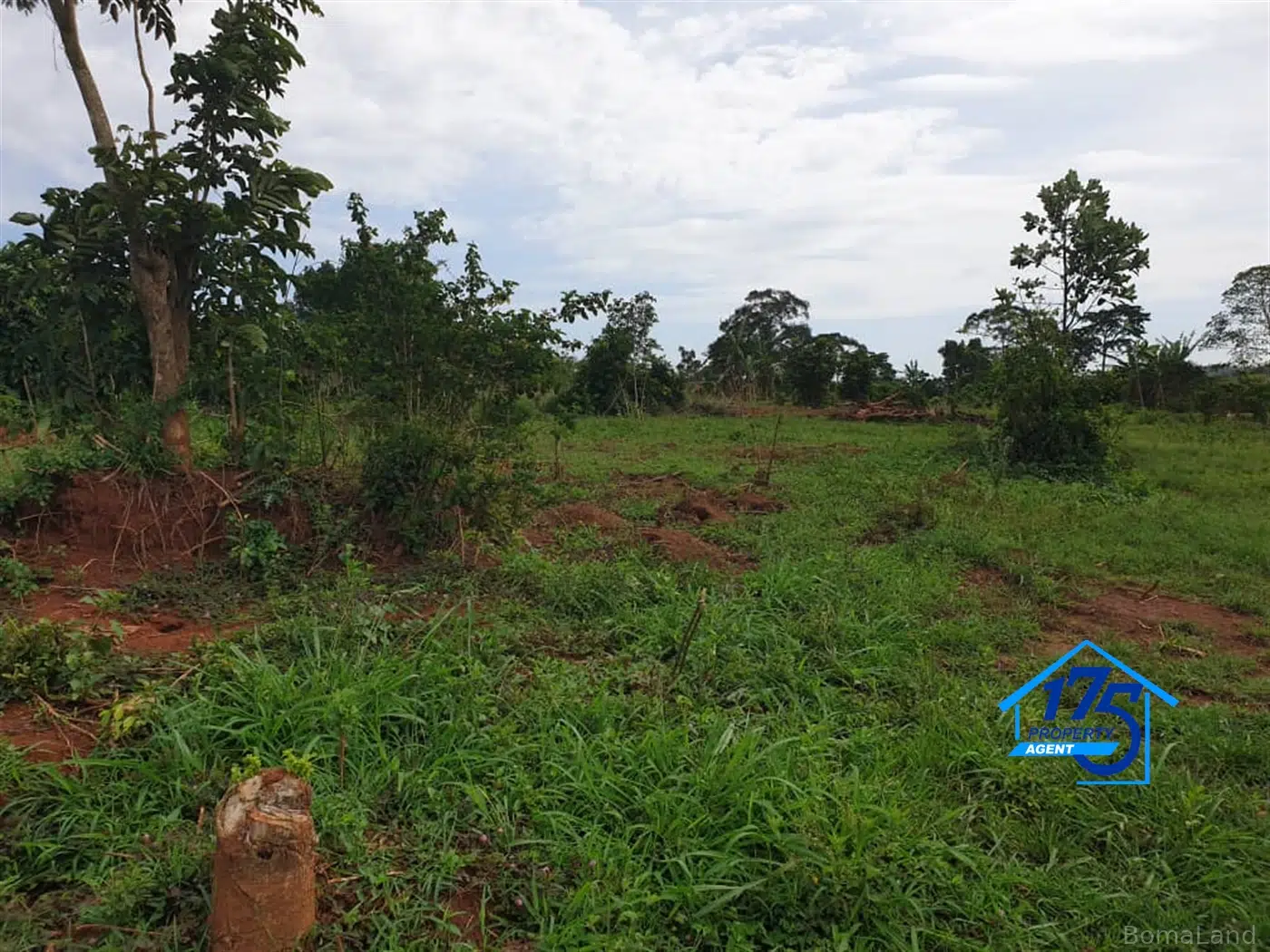 Residential Land for sale in Bukeelele Mukono Uganda