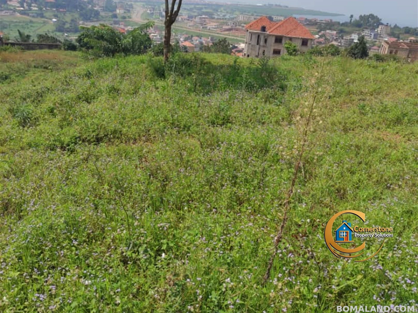 Agricultural Land for sale in Minana Mityana Uganda