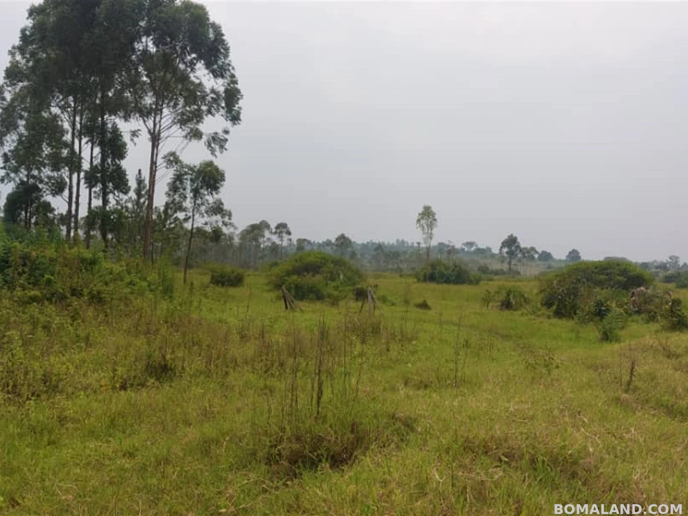 Agricultural Land for sale in Kakoni Gomba Uganda