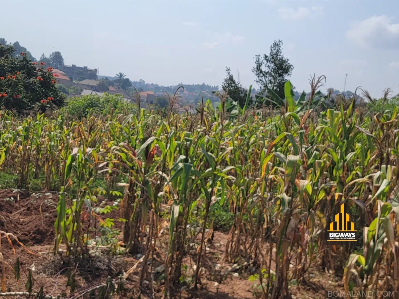 Residential Land for sale in Sonde Wakiso Uganda