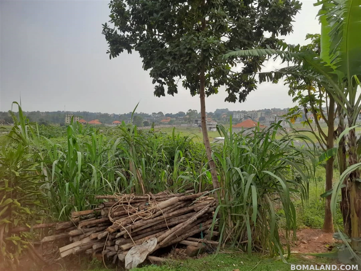 Residential Land for sale in Nsasa Kampala Uganda
