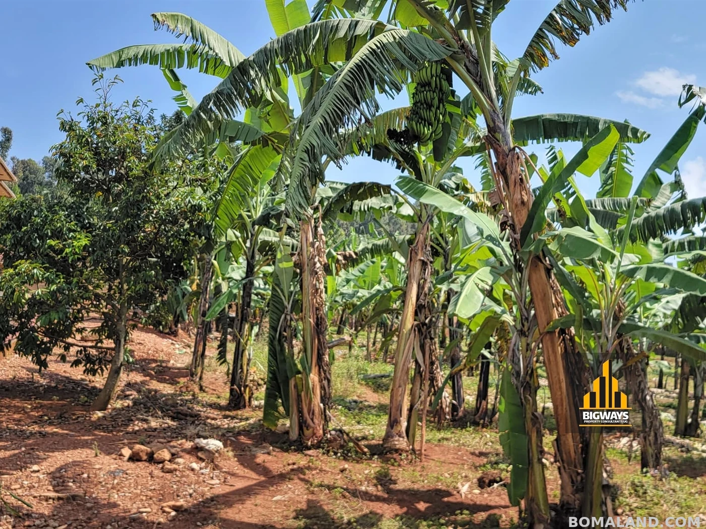 Residential Land for sale in Bwebajja Wakiso Uganda