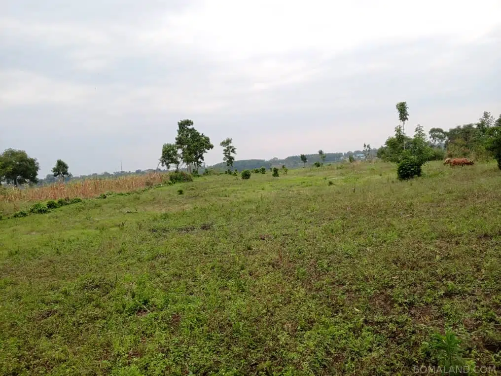 Recreational Land for sale in Namatogonya Kayunga Uganda