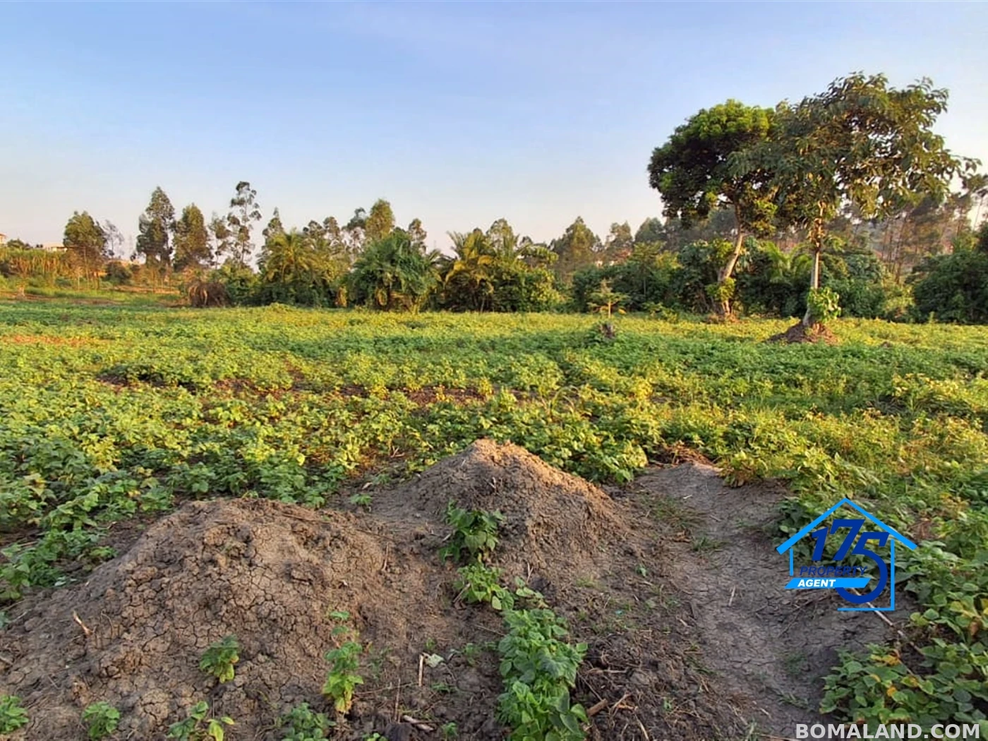 Residential Land for sale in Kira Wakiso Uganda