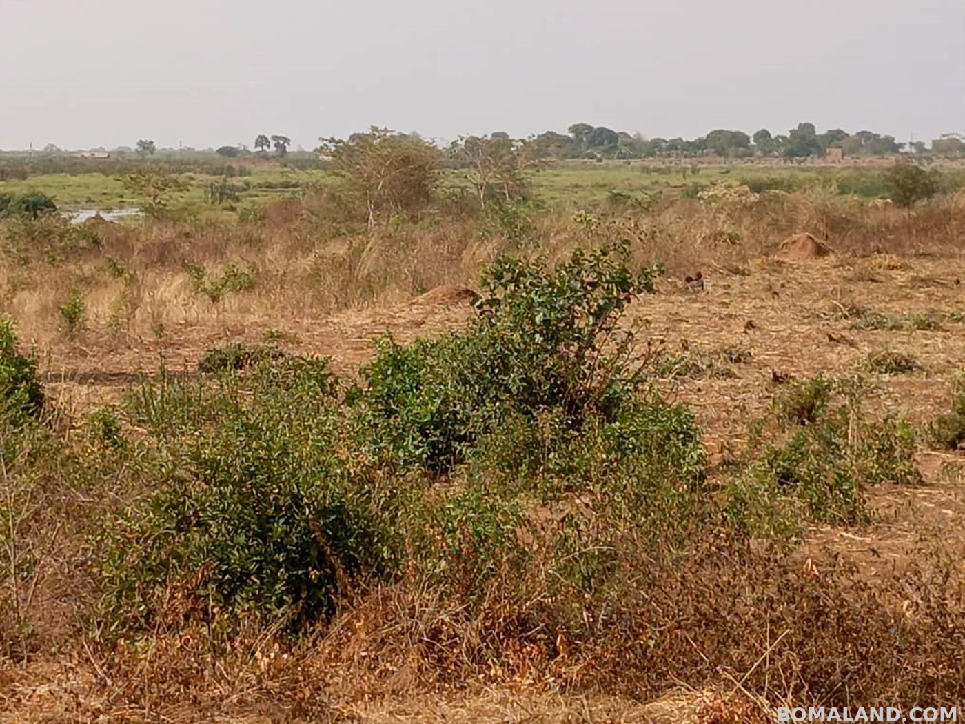 Agricultural Land for sale in Galilaya Kayunga Uganda