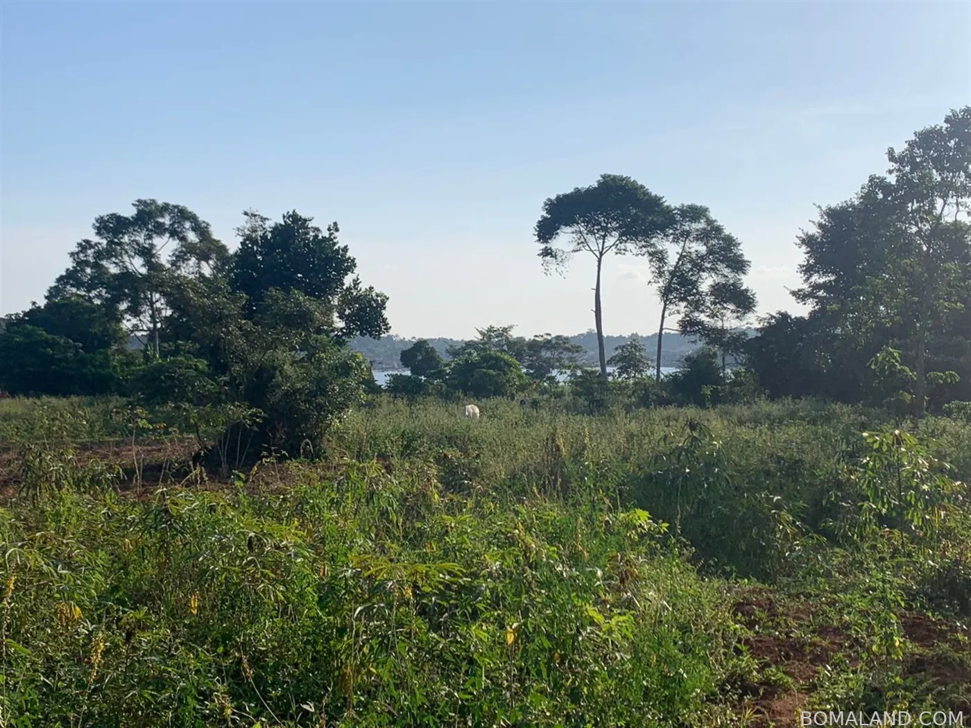 Recreational Land for sale in Katosi Mukono Uganda