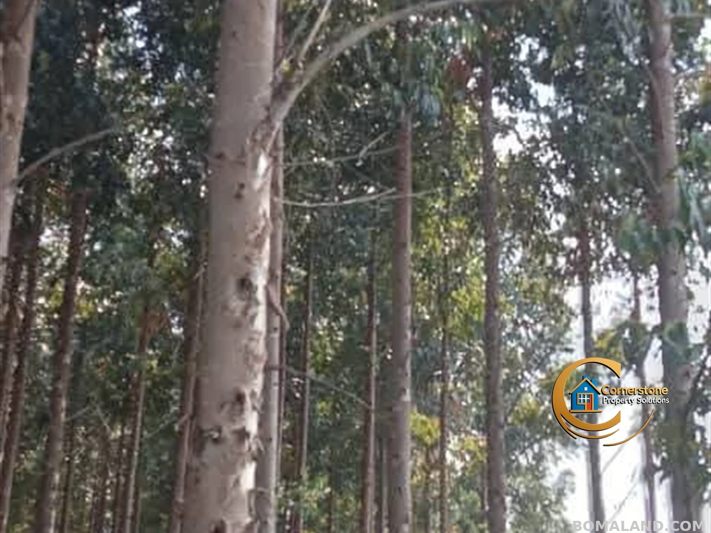 Agricultural Land for sale in Galilaya Kayunga Uganda