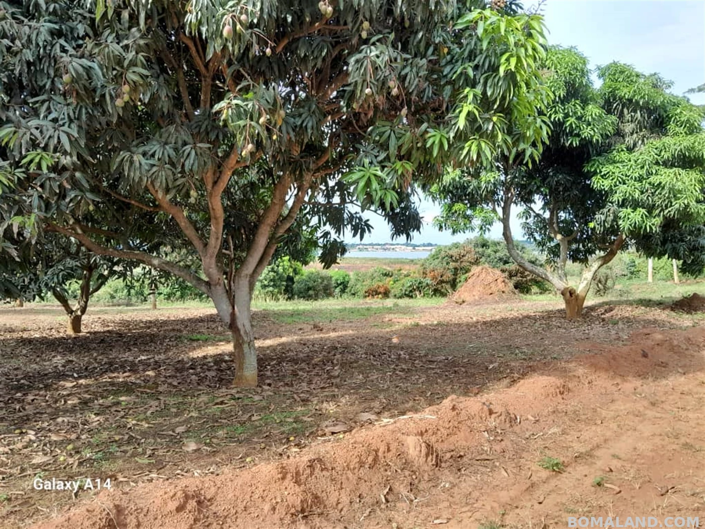 Residential Land for sale in Garugga Wakiso Uganda