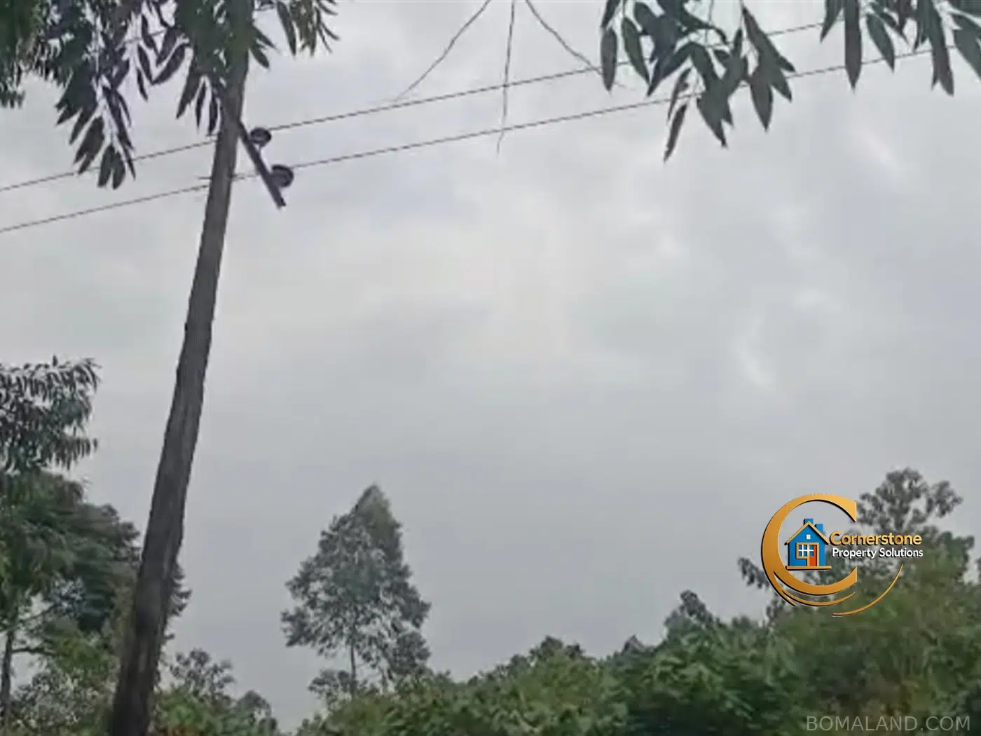 Agricultural Land for sale in Kiyanja Mukono Uganda
