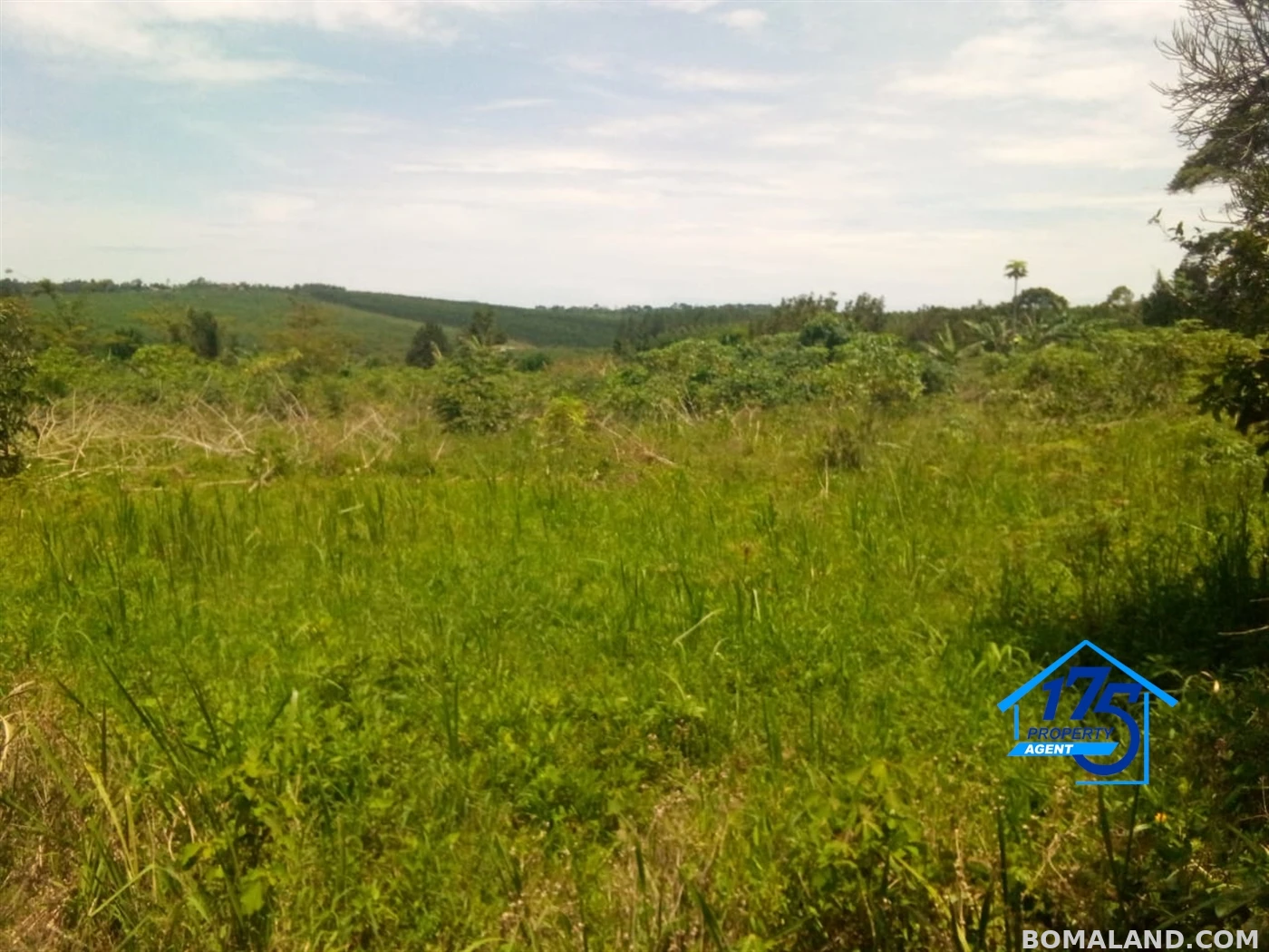 Residential Land for sale in Bukeelele Mukono Uganda