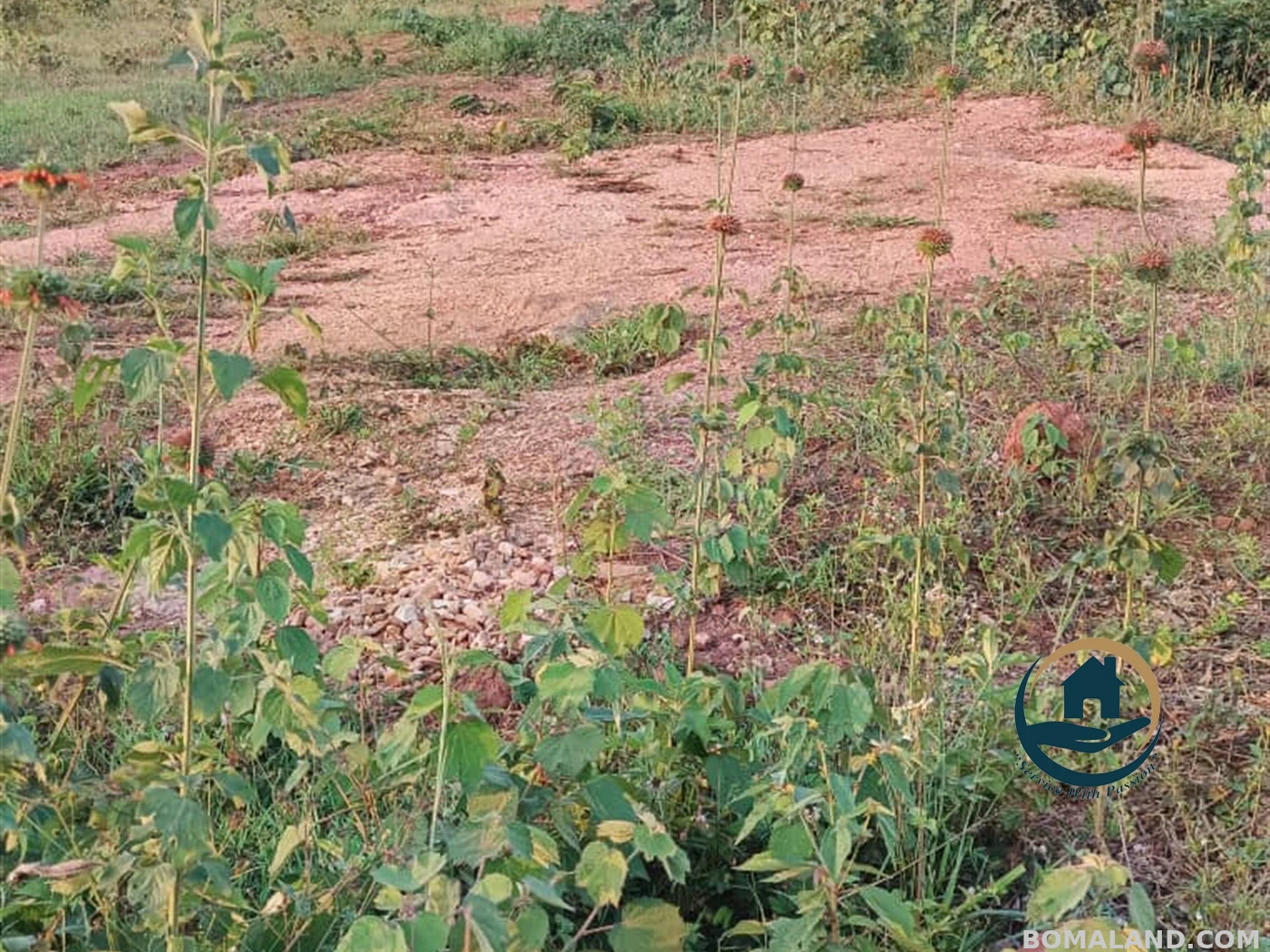 Residential Land for sale in Kitende Wakiso Uganda