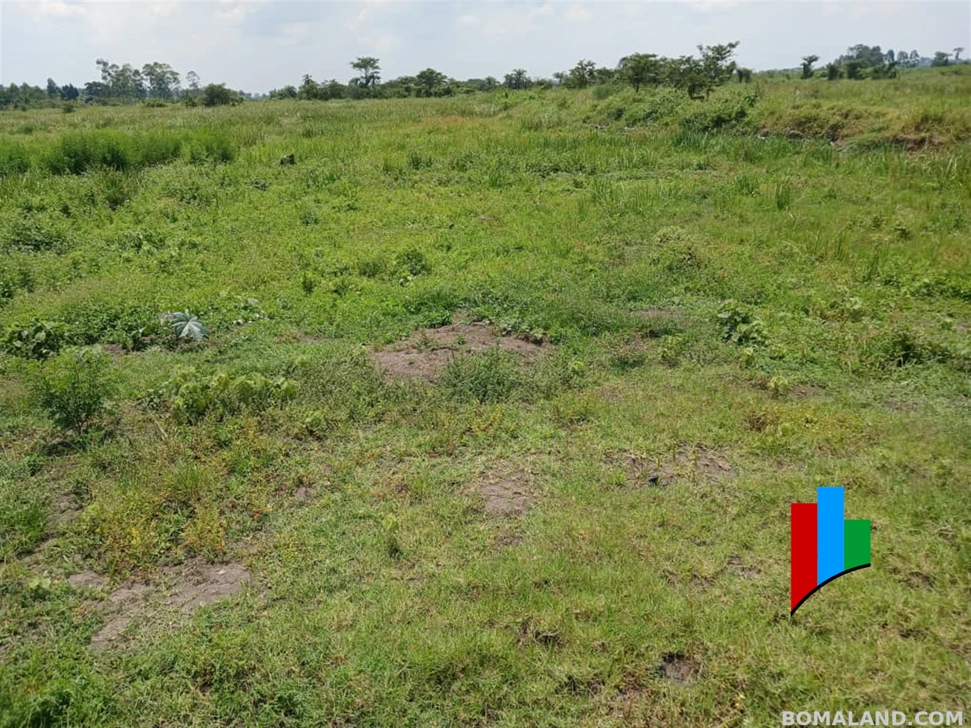 Agricultural Land for sale in Kiwoko Nakaseke Uganda