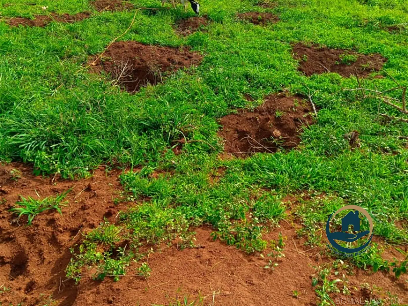 Residential Land for sale in Bwebajja Wakiso Uganda