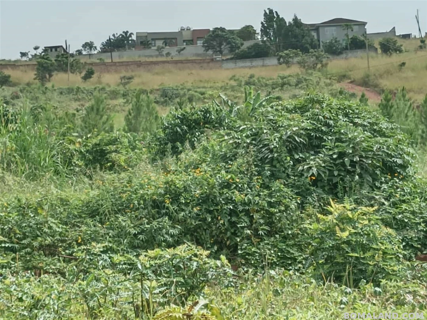 Residential Land for sale in Entebbe Wakiso Uganda