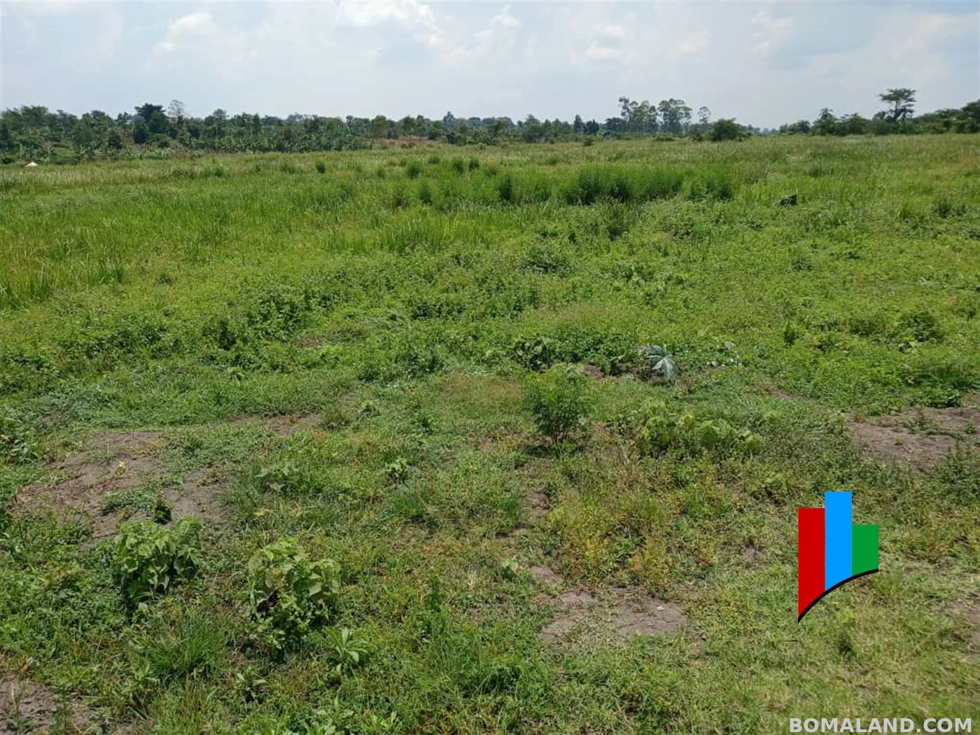 Agricultural Land for sale in Kiwoko Nakaseke Uganda