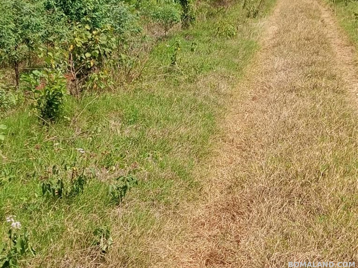 Joint investment land for sale in Kira Wakiso Uganda