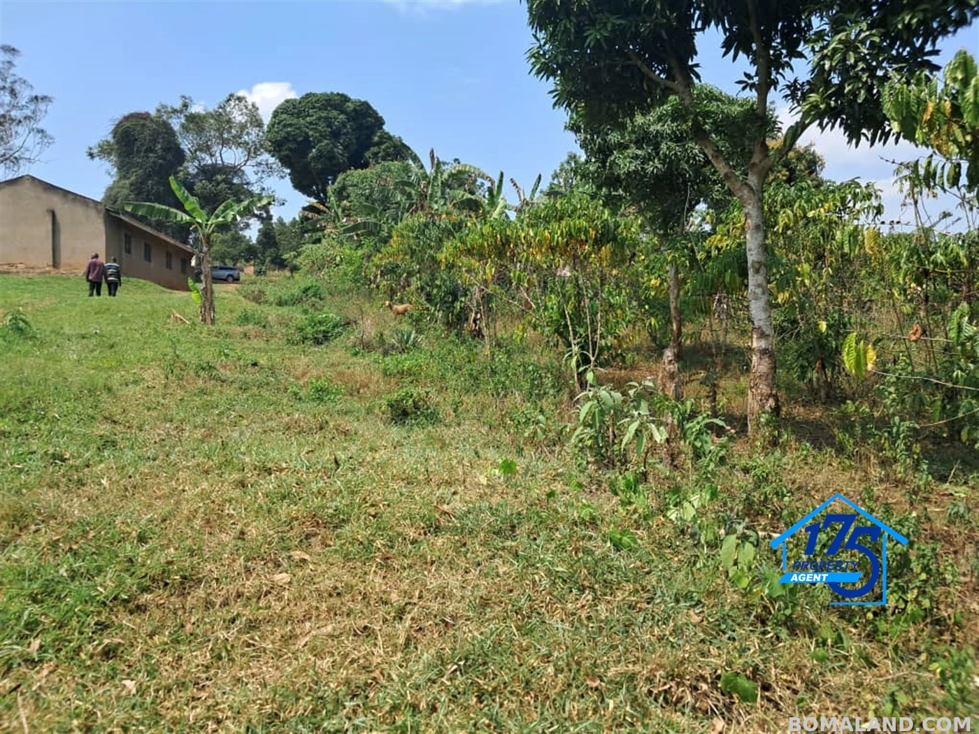 Residential Land for sale in Kikonge Mityana Uganda