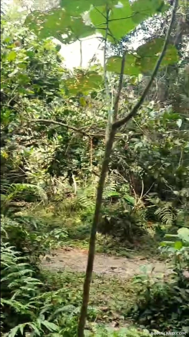 Agricultural Land for sale in Kyesiiga Kyotera Uganda