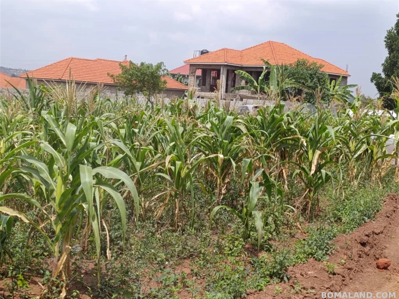 Residential Land for sale in Kira Wakiso Uganda