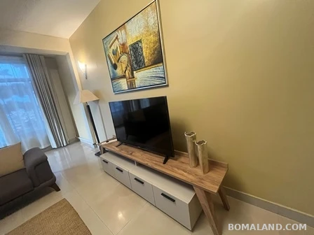 2 bedroom Apartment for rent in Kololo Kampala Uganda