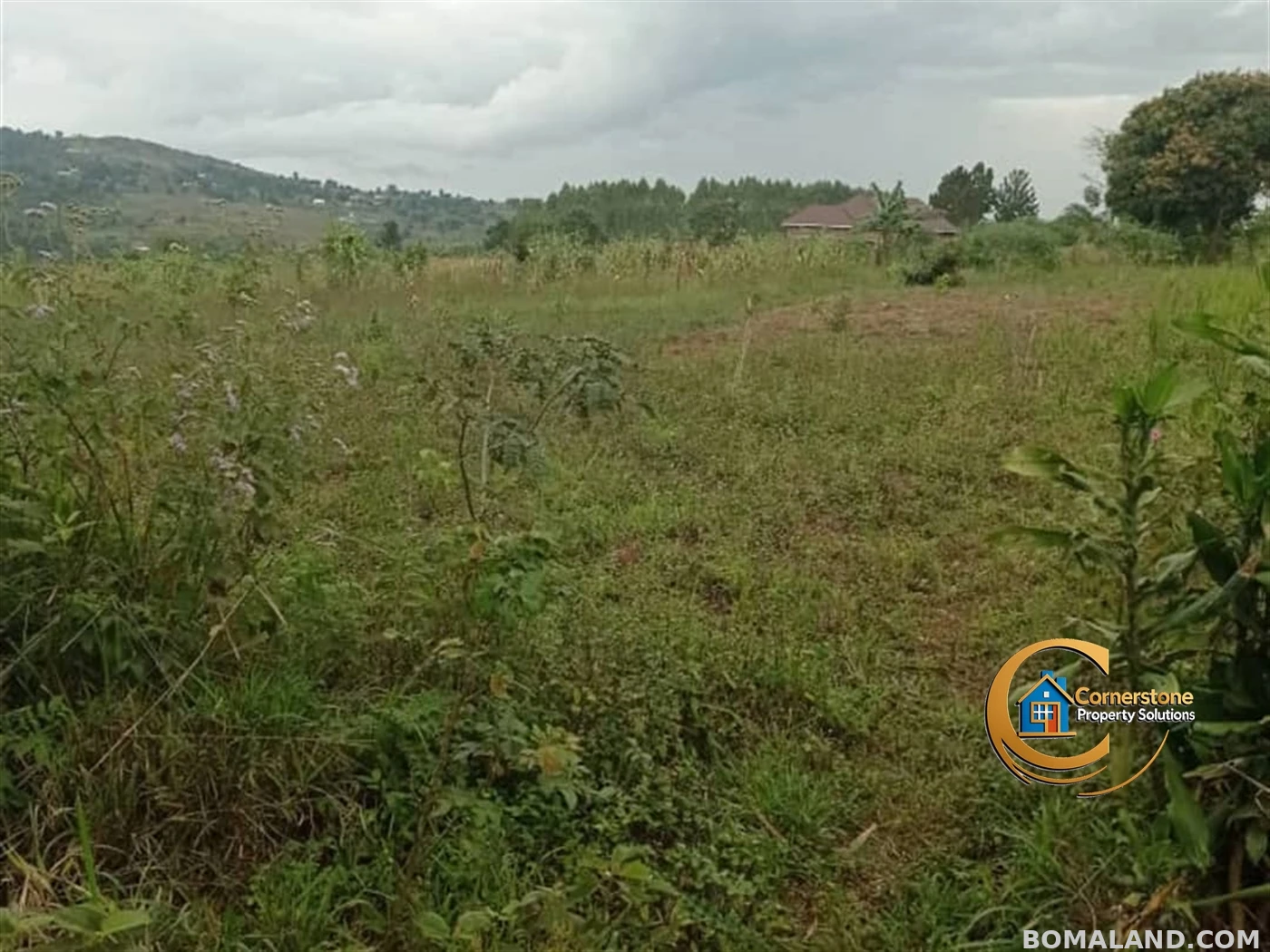 Joint investment land for sale in Nsaggu Wakiso Uganda