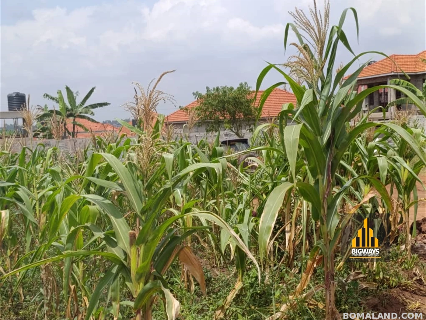 Residential Land for sale in Kasangati Wakiso Uganda