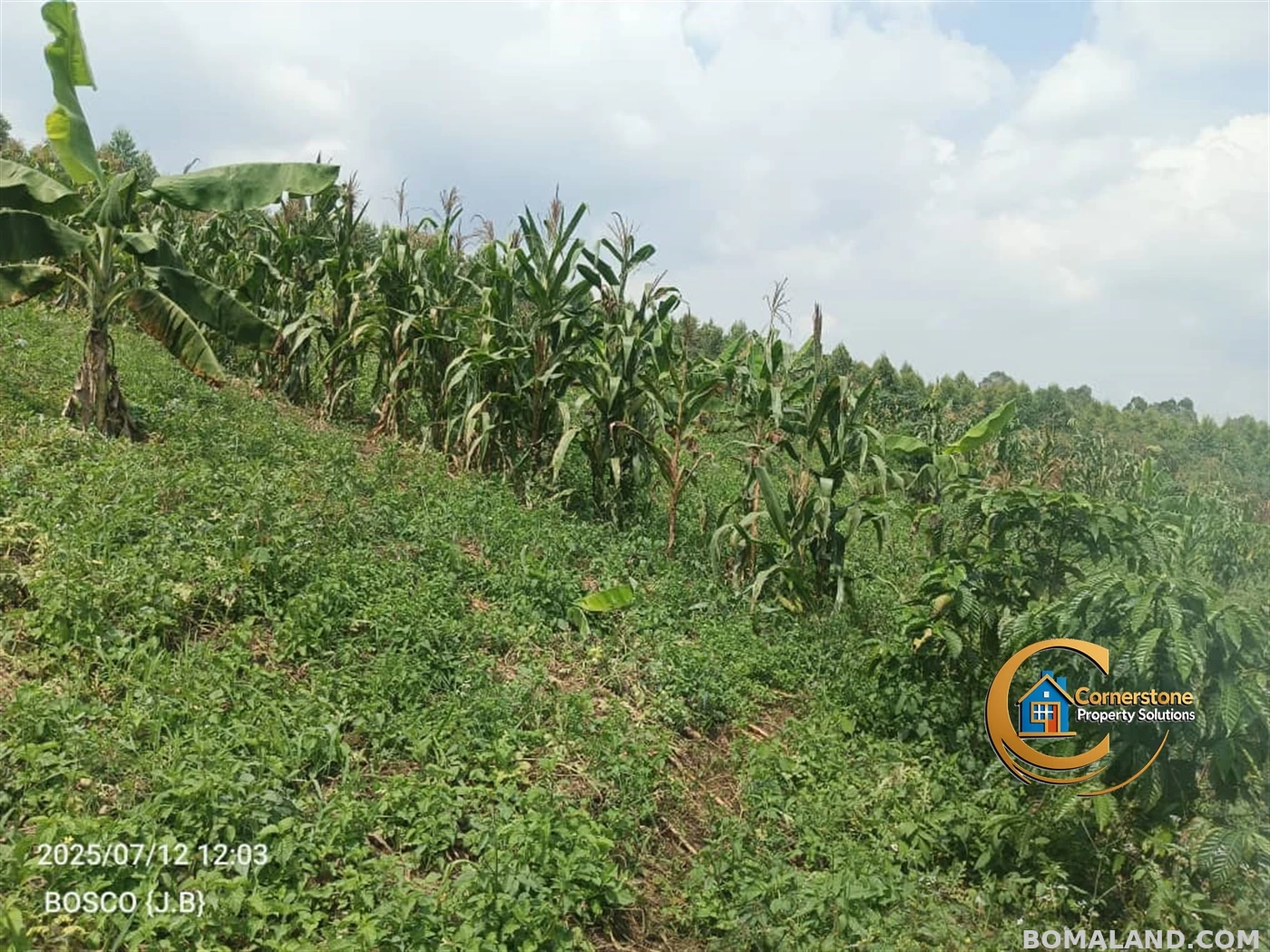 Agricultural Land for sale in Minana Mityana Uganda
