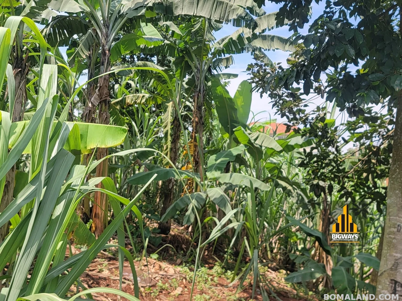 Residential Land for sale in Kiwaatule Kampala Uganda